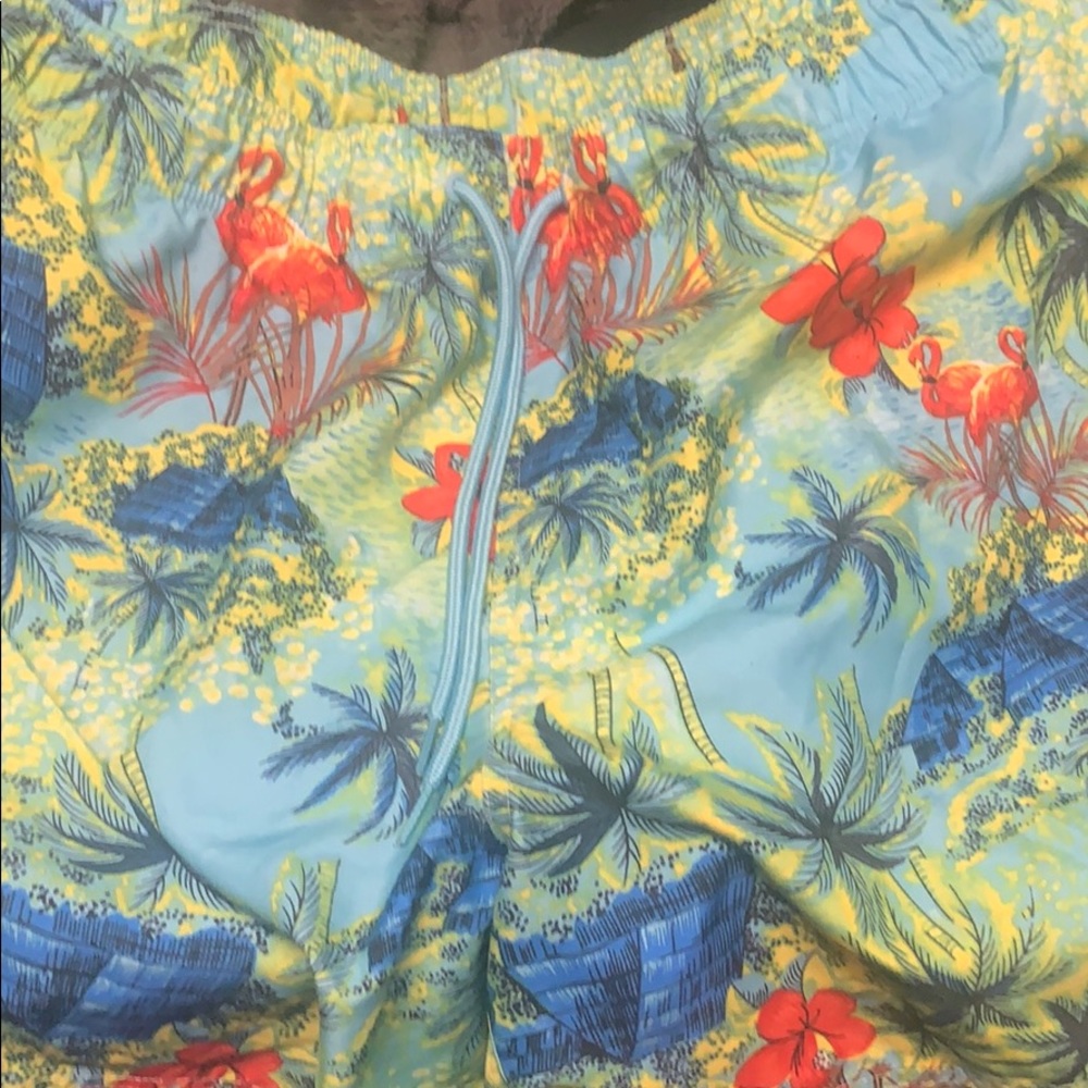 Swim trunks